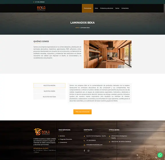 Concepto y diseño de la web