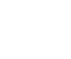 GorilaPixel