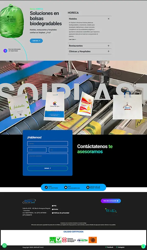Concepto y diseño de la web