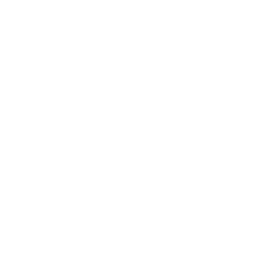 Web Architecture Diseño